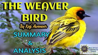 the weaver bird  Kofi Awoonor summary and analysis [upl. by Norreg459]