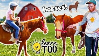 Horseback Riding 🐎  Learn About Horses for Kids  Ride Horses on the Farm  Educational for Kids [upl. by Aiuqet580]