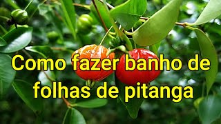 Como fazer banho de folhas de pitanga [upl. by Blumenfeld]