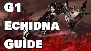 Lost Ark Guide Echidna G1 [upl. by Ingeberg]