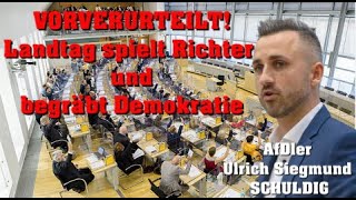 News💥AfD Tik Tok Posterboy verurteilt Landtag Sachsen  Anhalt hat soeben die Demokratie begraben [upl. by Ellekcim747]