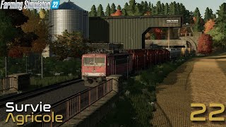 JE REMPLI LE TRAIN DE GRAIN   Survie Agricole EP22  Farming Simulator 22 [upl. by Belita85]