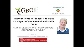 Edible Photoperiodic Strategies [upl. by Noirod]