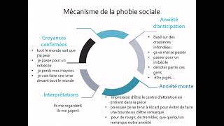 Le mécanisme de la phobie sociale [upl. by Lapides]