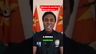 Esse é o objetivo das marchas dos Moçambicanos🇲🇿 venanciomondlane moçambique povonopoder podemos [upl. by Senaj]