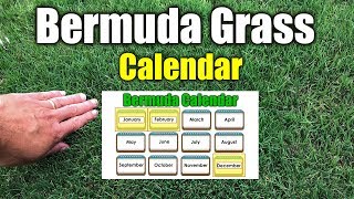 Bermuda Grass Calendar Please See New Calendar in Description [upl. by Emlynn]