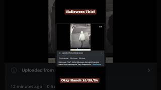 Halloween Thief  Otay Ranch 102924 [upl. by Fritzie134]