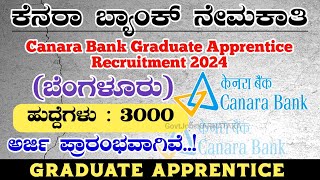 Canara Bank Recruitment 2024  Canara Bank Graduate Apprentice Recruitment 2024  Canara Bank 2024 [upl. by Monte618]