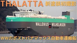 THALATTA  Wallenius Wilhelmsen Lines vehicles carrier 新塗装初撮影  2023 [upl. by Montagu193]