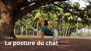 Apprendre la posture du chat  Marjariasana  Apprendre le Yoga [upl. by Nath541]