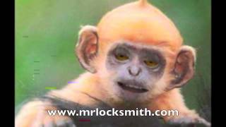 Mr Locksmith Fun Video Monkey Endorsement Picking Locks [upl. by Hephzipah]