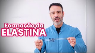 Como a elastina é formada na pele [upl. by Perice83]