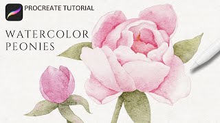 How to Paint Watercolor Peony Flowers in Procreate  Realistic Watercolor Peonies Tutorial [upl. by Ainna]