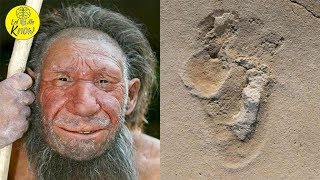 A 5 7 Million Year Old Footprint Has Been Found – And It Could Controversially Rewrite Human History [upl. by Gayleen]