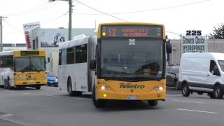 Buses at Springfield Interchange  Hobart Transport [upl. by Hege]