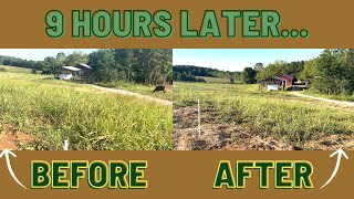 EP 17  Grazing Murray Grey Cattle  CRAZY 9hr Difference [upl. by Spiers]