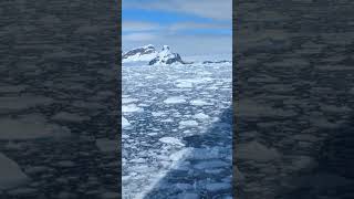 How Beautiful Is the Scenery on an Antarctica Cruise [upl. by Kennie402]