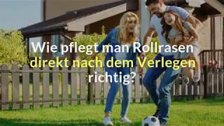 Wie pflegt man Rollrasen direkt nach dem Verlegen richtig [upl. by Eanrahc862]