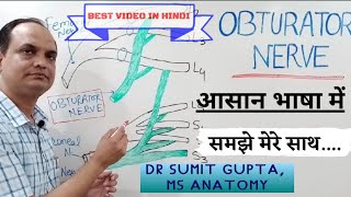 OBTURATOR NERVE ANATOMY [upl. by Asor]