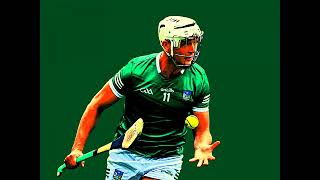 SHOCKING HURLER OF THE YEAR NOMINEE KYLE HAYES DUE BACK BEFORE THE COURTS AGAIN ON MONDAY LIMERICK [upl. by Nirrac]