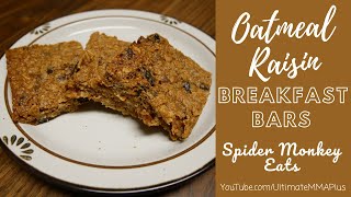 Oatmeal Raisin Breakfast Bars Recipe [upl. by Eiahpets]