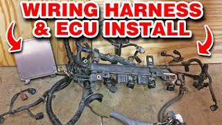 Installing The Wiring Harness And ECU  Manual Swap Pt 7  Project EM2 [upl. by Furie]