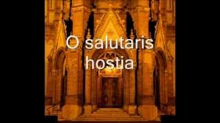 Márton Levente Horváth O salutaris hostia [upl. by Meirrak576]