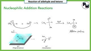 Nucleophilic addition reaction mechanism class 12 [upl. by Anevad139]