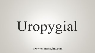 How To Say Uropygial [upl. by Faxon]