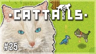 Gifts for Growing Kittens  Cattails Lets Play  Episode 25 [upl. by Naud]