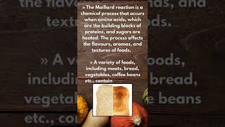 What is Maillard Reaction   Food Chemistry  Mohit Chandra [upl. by Kopp]