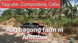 EP561 Ang Farm ni Francis quotAntetboiquot at ang mga pullets ni Kakugi for breeding [upl. by Eenyaj]