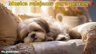 Música para DEJAR PERROS SOLOS EN CASA  3 HORAS🐶🏠❤ Musica Relajante Para Tu Mejor Amigo [upl. by Reinhart]