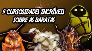 5 Curiosidades Incríveis e Assustadoras sobre as Baratas [upl. by Malamut]