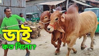 Bhai Koto Nilo Paragram Hozrotpur Gorur Haat 2022  Part 28  Qurbani Cow Price in Bangladesh [upl. by Maryann996]