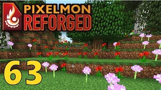 63 Capture Spree In The Flower Forest Pixelmon Reforged Gameplay [upl. by Esinahs]