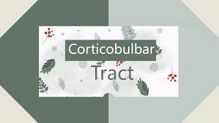 pyramidal tract part 2 corticobulbar tract [upl. by Lambrecht]