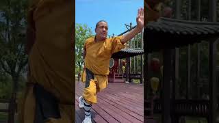 Traditional kung fu maze boxingKung FuChinese Kung Fu Wushu training traditional Wushu Shaolin [upl. by Ylliw]