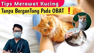 TIPS ❗MERAWAT KUCING TANPA BERGANTUNG PADA OBAT ❗ [upl. by Eulaliah]