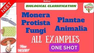 examples of biological classification  Monera  Protista  fungi  plantae  Animalia  algae amit [upl. by Alben439]