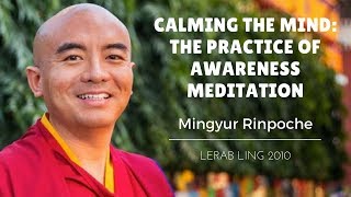 Mingyur Rinpoche  Calming the Mind The Practice of Awareness Meditation [upl. by Fitts]