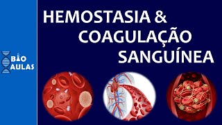 Hemostasia e Coagulação Sanguínea Atuação das Plaquetas e a Cascata de Coagulação [upl. by Aeslehs]