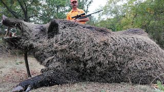 DEV AZILI YABAN DOMUZU AVI MUHTEŞEM ANLAR  GIANT MONSTER WILD BOAR HUNTING  HOG HUNT PIG HUNTS [upl. by Lenuahs]