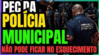 A Pec Da Polícia Municipal Não Pode Ficar No Esquecimento [upl. by Ahsimak]