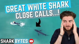 Shark Scientist REACTS to Great White Shark quotClose callsquot [upl. by Lorolla]