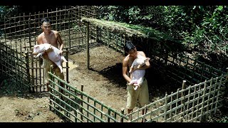 Build Mini Swimming Pool For Wild Pigs And Do The House For It [upl. by Nakashima]