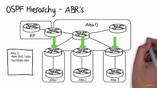 2 ospf Part 2 basic  understand ospf via Animation visual form ospf ccie cisco [upl. by Goltz]