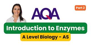 Introduction to Enzymes Part 2  AQA Biology  Year 12 [upl. by Felise]