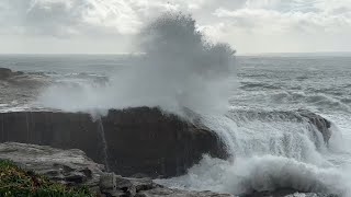 Big Santa Cruz waves draw crowds more rescue calls [upl. by Eirased]