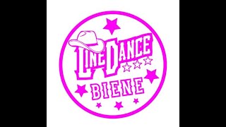 Bucket Seats Paartanz Partner Dance Line Dance Lernvideo Teach amp Dance Line Dance Biene Teil 2 [upl. by Asilat60]